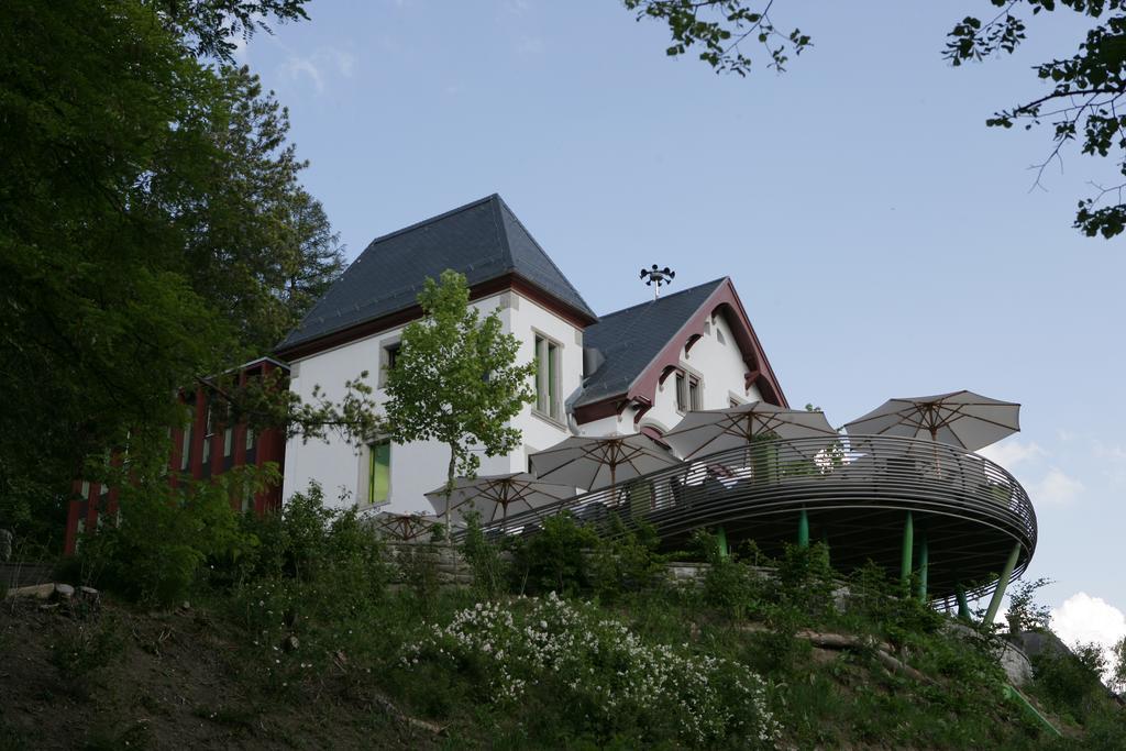 Sorell Hotel Rigiblick - Studios&Spa Suites Zurigo Esterno foto