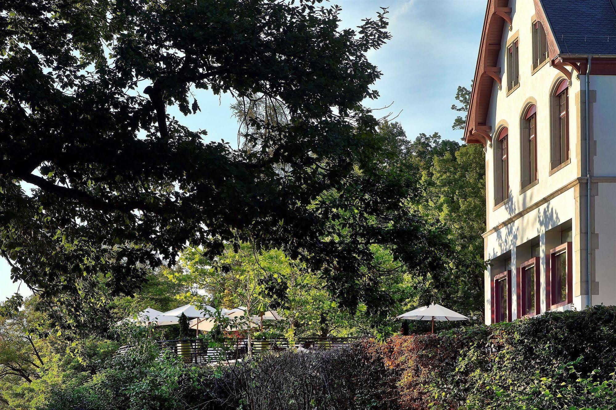 Sorell Hotel Rigiblick - Studios&Spa Suites Zurigo Esterno foto